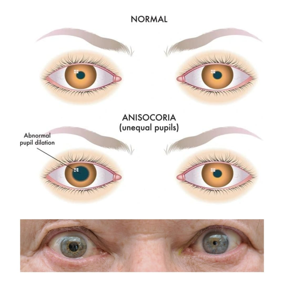 Start Here: A New Reader's Guide to RPC Rounds